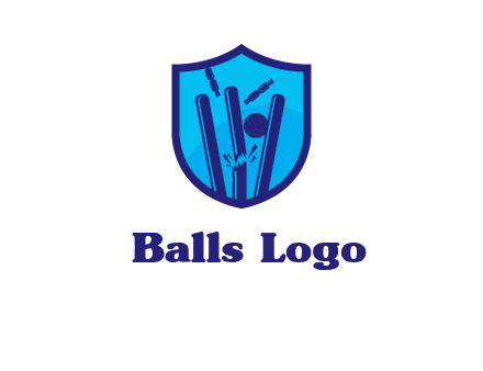 wicket sports logo
