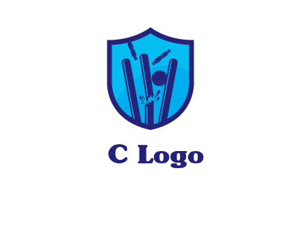 wicket sports logo