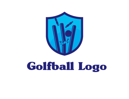 wicket sports logo