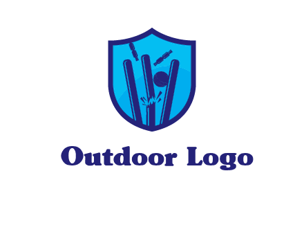wicket sports logo