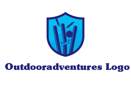 wicket sports logo